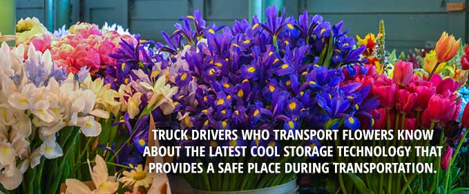 Refrigerated Trucking: It’s Not Just for Food, items like flowers and candles are refeer shipped too